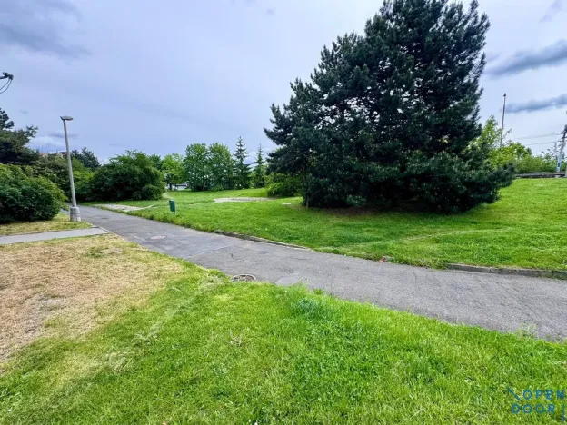 Prodej bytu 2+1, Chomutov, Borová, 60 m2