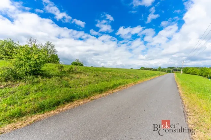Prodej pozemku pro bydlení, Boharyně, 1221 m2