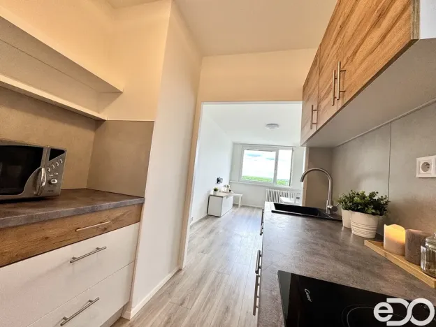 Pronájem bytu 2+kk, Praha, Štichova, 48 m2