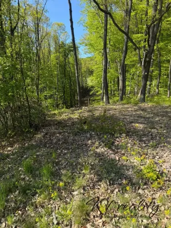 Prodej lesa, Hřivínův Újezd, 3320 m2