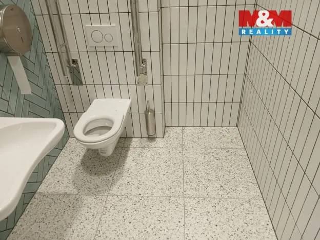 Prodej obchodního prostoru, Opava - Město, Masarykova třída, 160 m2