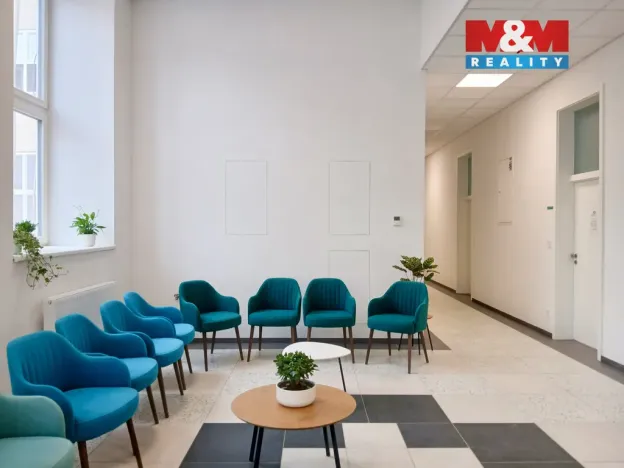 Prodej obchodního prostoru, Opava - Město, Masarykova třída, 120 m2