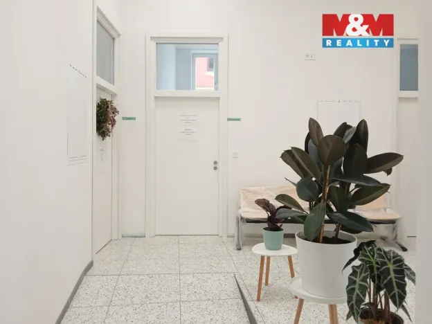 Prodej obchodního prostoru, Opava - Město, Masarykova třída, 80 m2