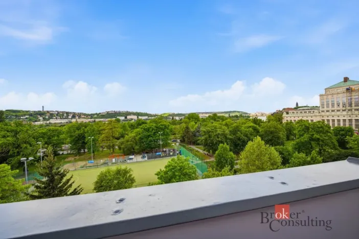 Prodej bytu 1+1, Praha - Podolí, Podolská, 39 m2