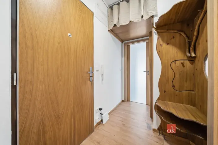 Prodej bytu 1+1, Praha - Podolí, Podolská, 39 m2