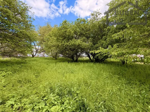Prodej pozemku pro bydlení, Lestkov, 2218 m2