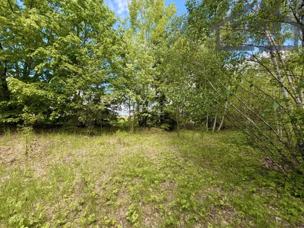 Prodej pozemku pro bydlení, Lestkov - Domaslav, 435 m2