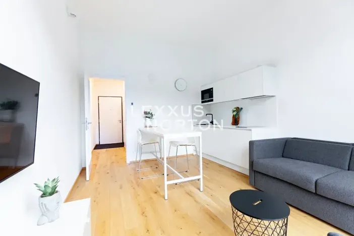 Pronájem bytu 1+kk, Praha - Veleslavín, Na dračkách, 29 m2
