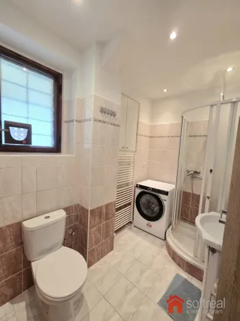 Pronájem vícegeneračního domu, Praha - Řepy, Boršovská, 160 m2