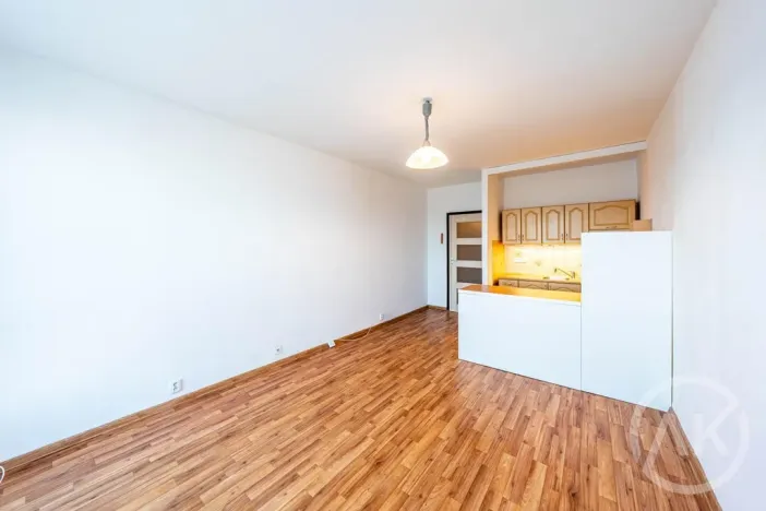 Pronájem bytu 1+kk, Ostrava - Výškovice, Výškovická, 28 m2