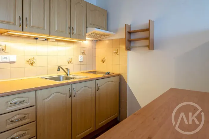 Pronájem bytu 1+kk, Ostrava - Výškovice, Výškovická, 28 m2