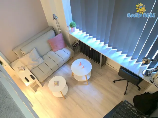 Pronájem bytu 1+kk, Praha - Vinohrady, Soběslavská, 20 m2