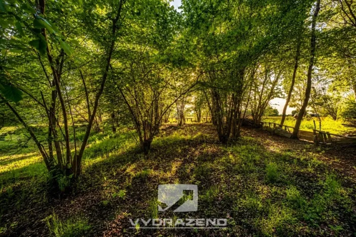Prodej pozemku pro bydlení, Pertoltice, 458 m2