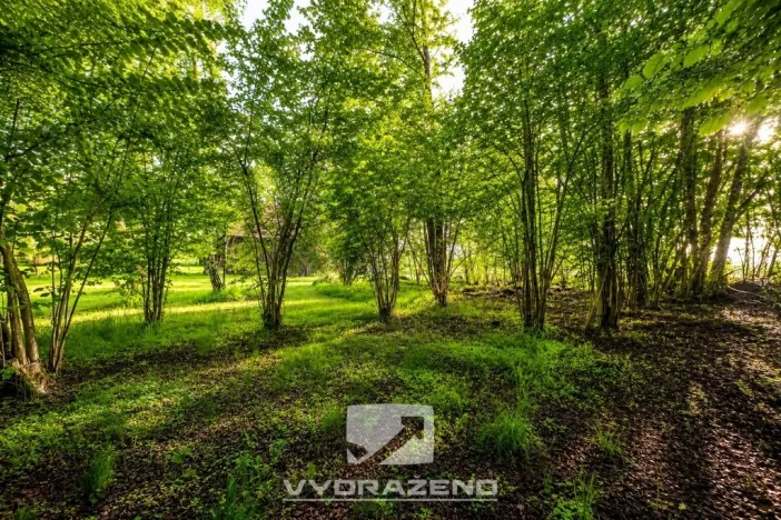 Prodej pozemku pro bydlení, Pertoltice, 458 m2