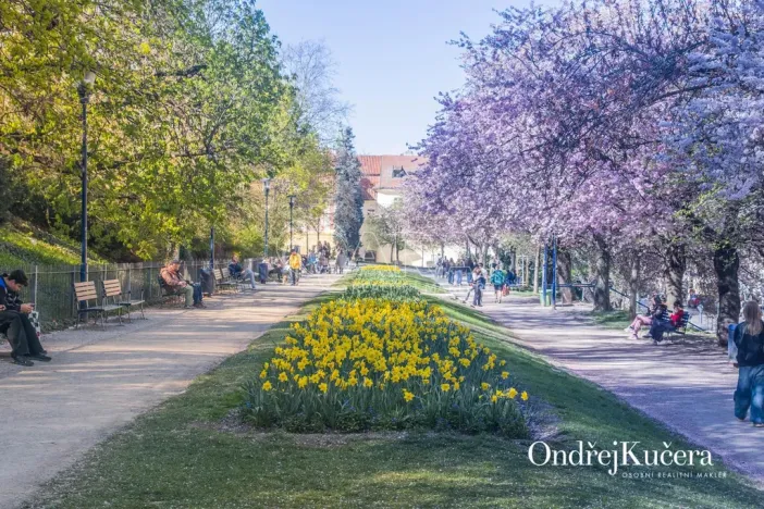Prodej bytu 3+1, Praha - Malá Strana, Mělnická, 90 m2