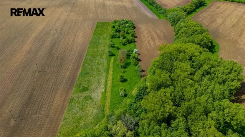 Prodej zahrady, Železnice, 448 m2