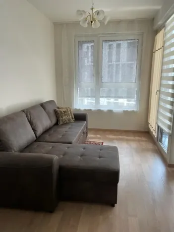 Pronájem bytu 1+kk, Praha - Žižkov, Olgy Havlové, 37 m2
