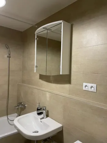 Pronájem bytu 1+kk, Praha - Žižkov, Olgy Havlové, 37 m2