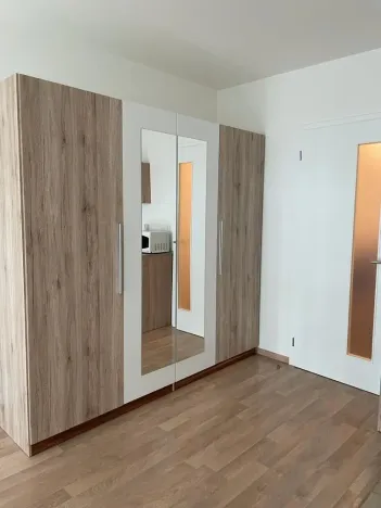 Pronájem bytu 1+kk, Praha - Žižkov, Olgy Havlové, 37 m2