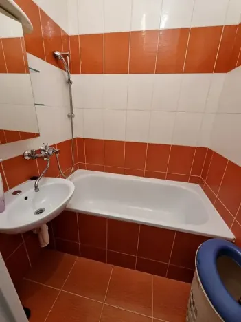 Prodej bytu 2+1, Ostrava, Plavecká, 53 m2