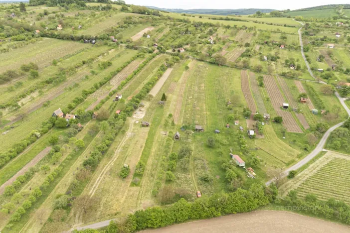 Prodej sadu/vinice, Strážnice, 5457 m2
