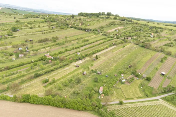 Prodej sadu/vinice, Strážnice, 5457 m2