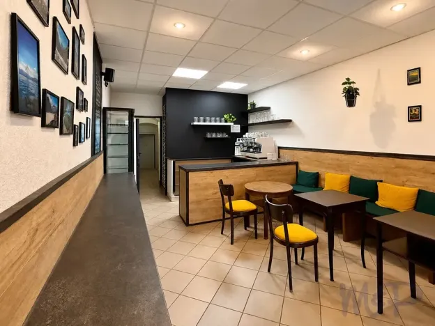 Prodej obchodního prostoru, Třebíč, Hasskova, 258 m2