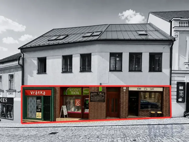 Prodej obchodního prostoru, Třebíč, Hasskova, 258 m2