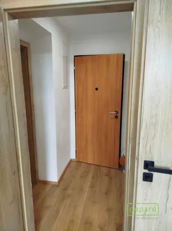 Prodej bytu 1+1, Světlík, 38 m2