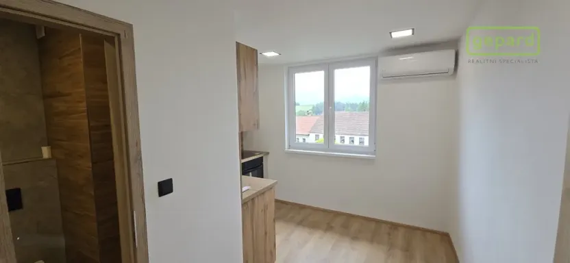 Prodej bytu 1+1, Světlík, 38 m2