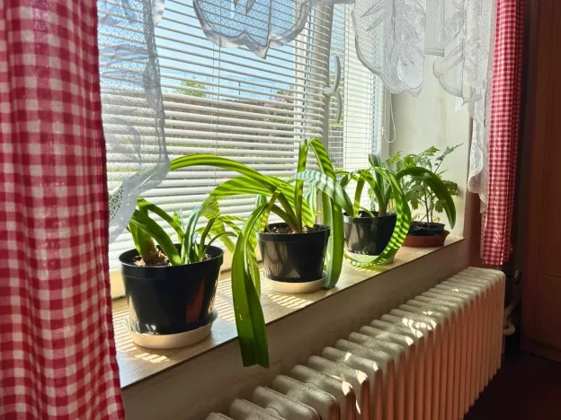 Prodej rodinného domu, Hrdlív, 150 m2