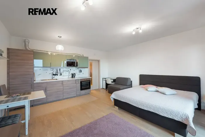 Pronájem bytu 1+kk, Praha - Žižkov, Olšanská, 37 m2