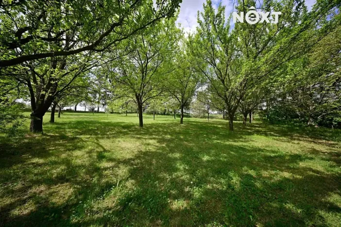 Prodej rodinného domu, Loučka, 170 m2