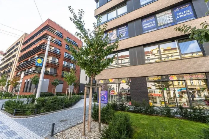Prodej bytu 1+kk, Praha - Žižkov, Krásova, 41 m2