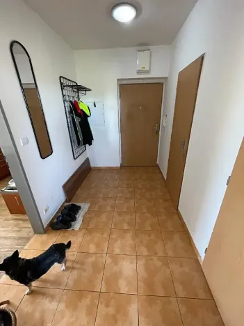 Pronájem bytu 2+kk, Pardubice, Dubová, 55 m2