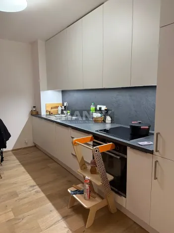Pronájem bytu 2+kk, Praha - Karlín, Křižíkova, 66 m2