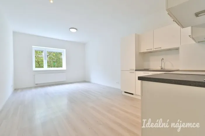 Pronájem bytu 2+kk, Brno, Kamínky, 55 m2