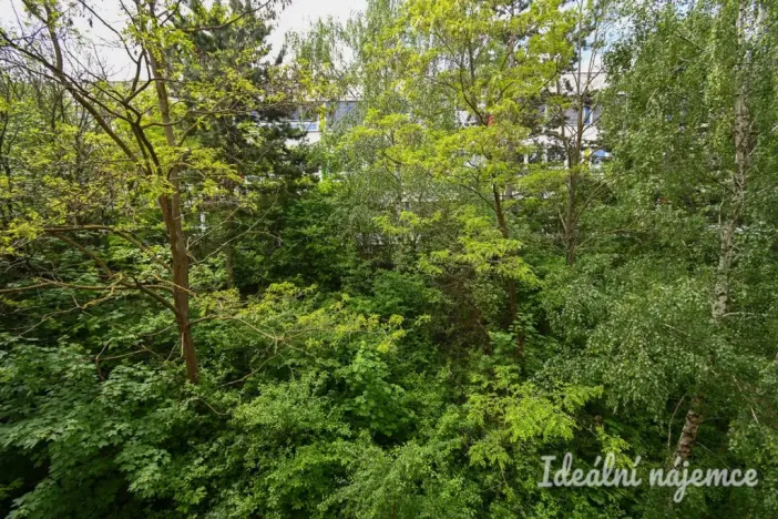 Pronájem bytu 2+kk, Brno, Kamínky, 55 m2