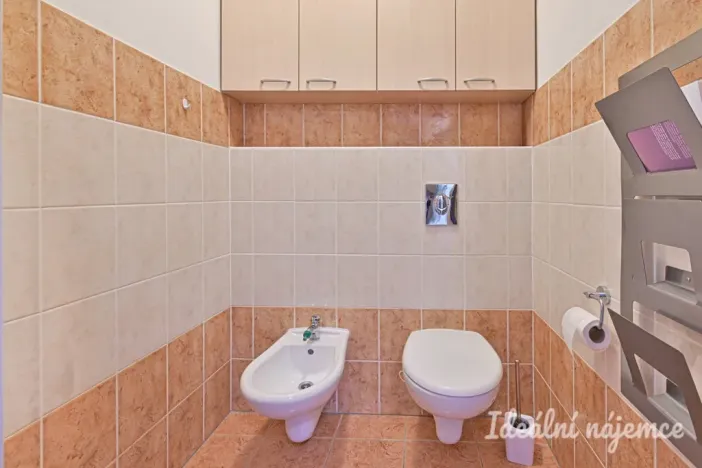 Pronájem bytu 3+kk, Brno, Říčanská, 81 m2