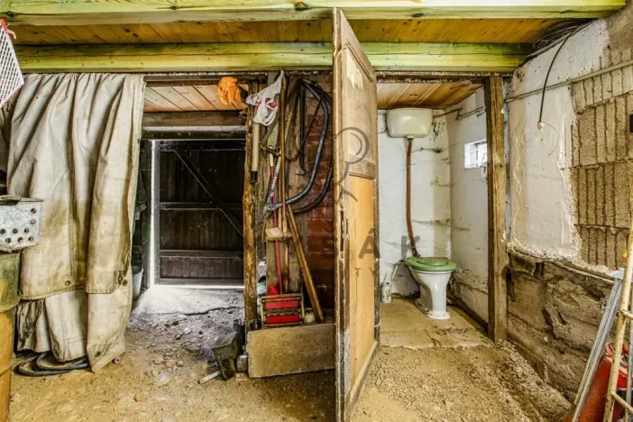 Prodej chaty, Chrášťany - Pašovice, 20 m2