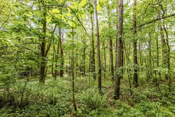 Prodej chaty, Chrášťany - Pašovice, 20 m2