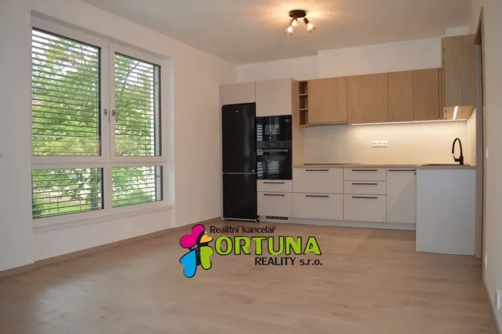 Pronájem bytu 3+kk, České Budějovice - České Budějovice 3, Hálkova, 54 m2