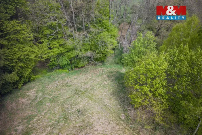 Prodej lesa, Trhové Dušníky, 909 m2