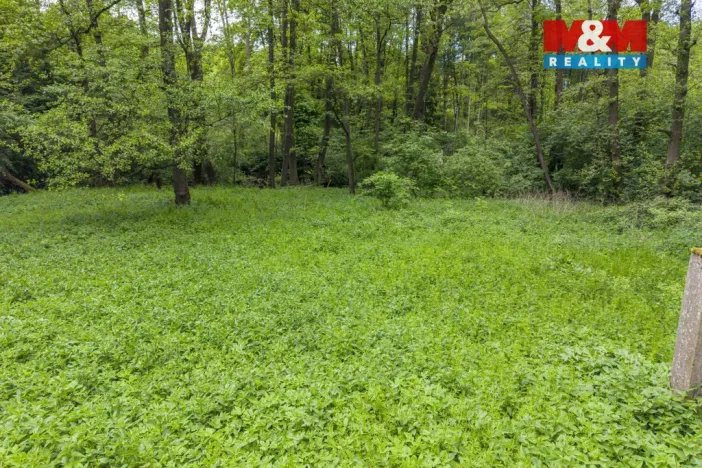 Prodej lesa, Červené Pečky - Bohouňovice I, 491 m2