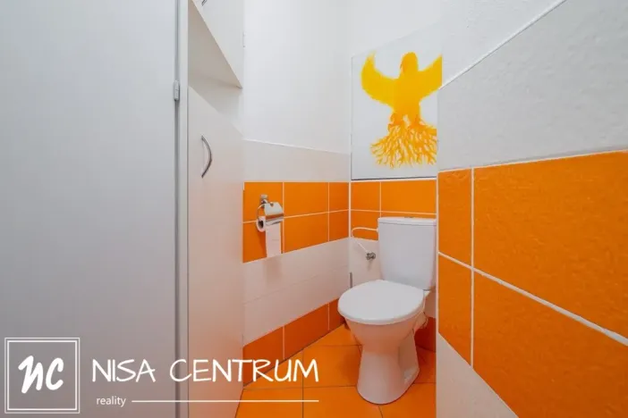 Pronájem bytu 3+1, Liberec, Dobiášova, 75 m2