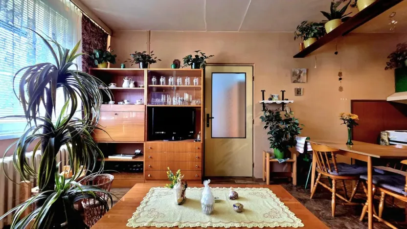 Prodej bytu 2+kk, Hořice, Pod Lipou, 43 m2