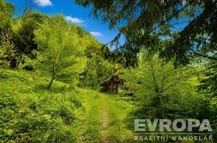 Prodej chalupy, Desná - Desná I, Výletní, 110 m2