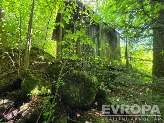 Prodej chalupy, Desná - Desná I, Výletní, 110 m2