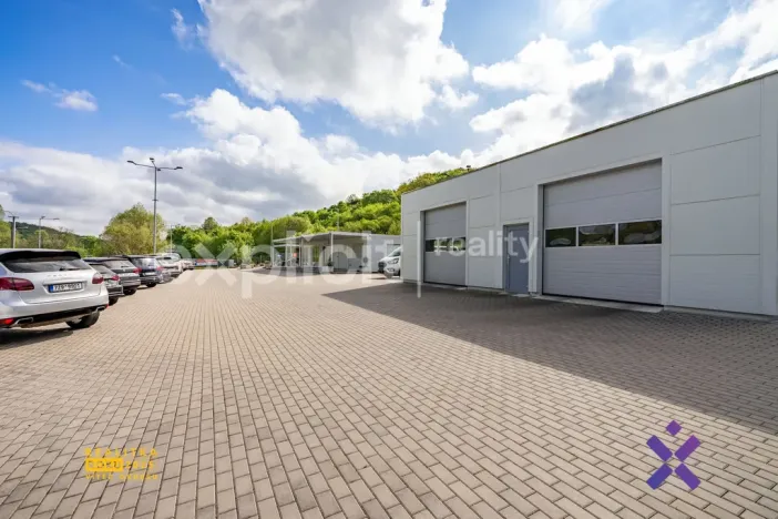 Prodej komerčního pozemku, Biskupice, 4600 m2