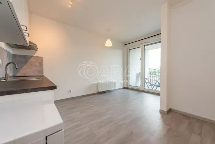 Pronájem bytu 2+kk, Praha - Žižkov, Olgy Havlové, 43 m2